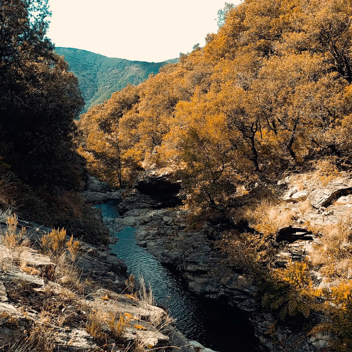 Rivière dans la vallée de la Drobie