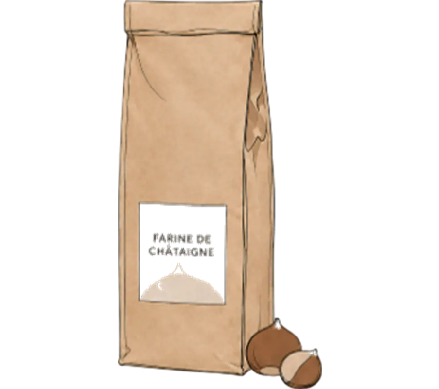 Picto farine de châtaigne 250 g